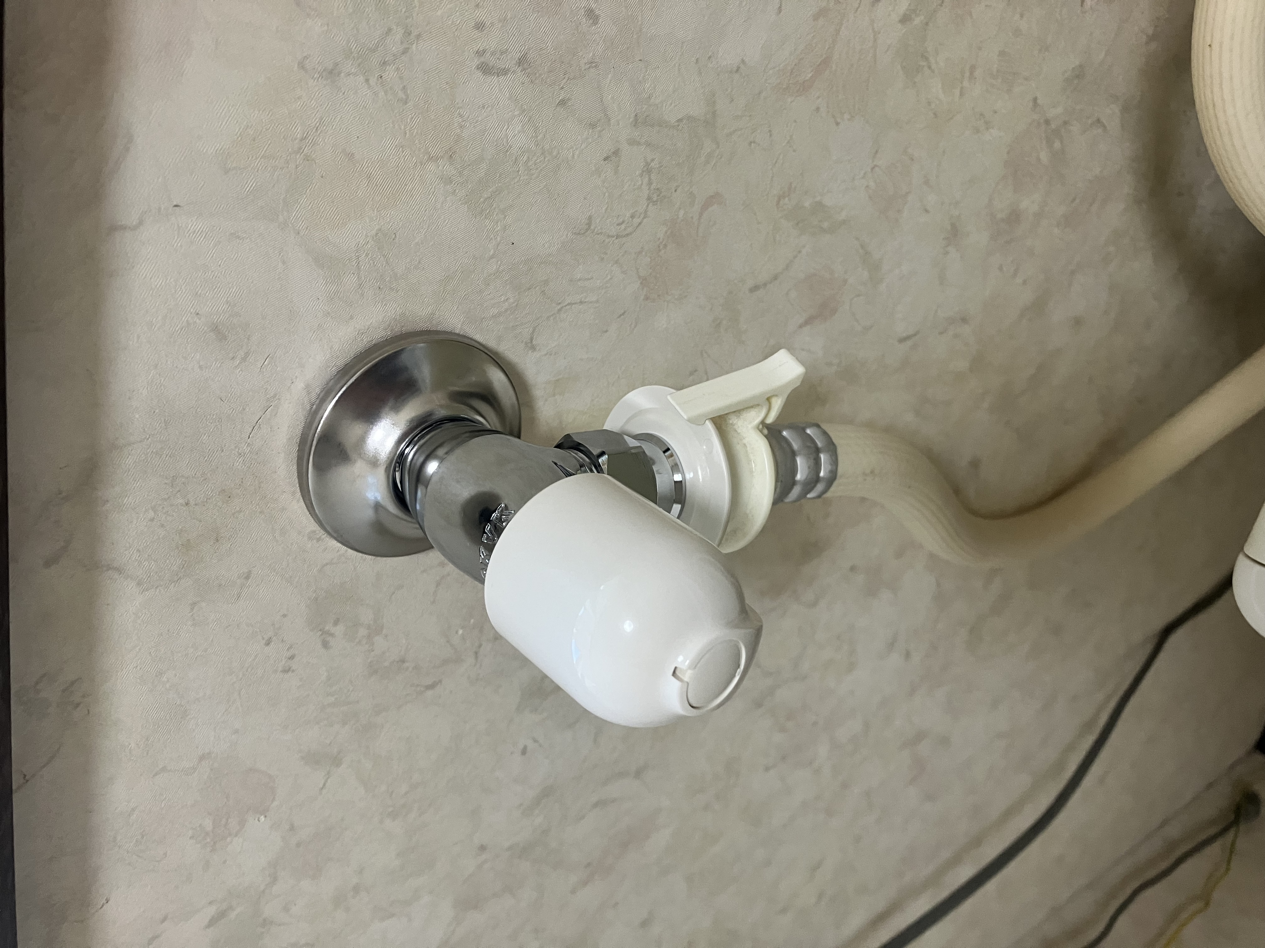 画像の説明 画像の説明